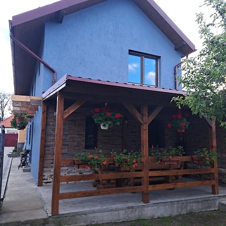 Casa Rustica Saceleana Săcele Exterior foto