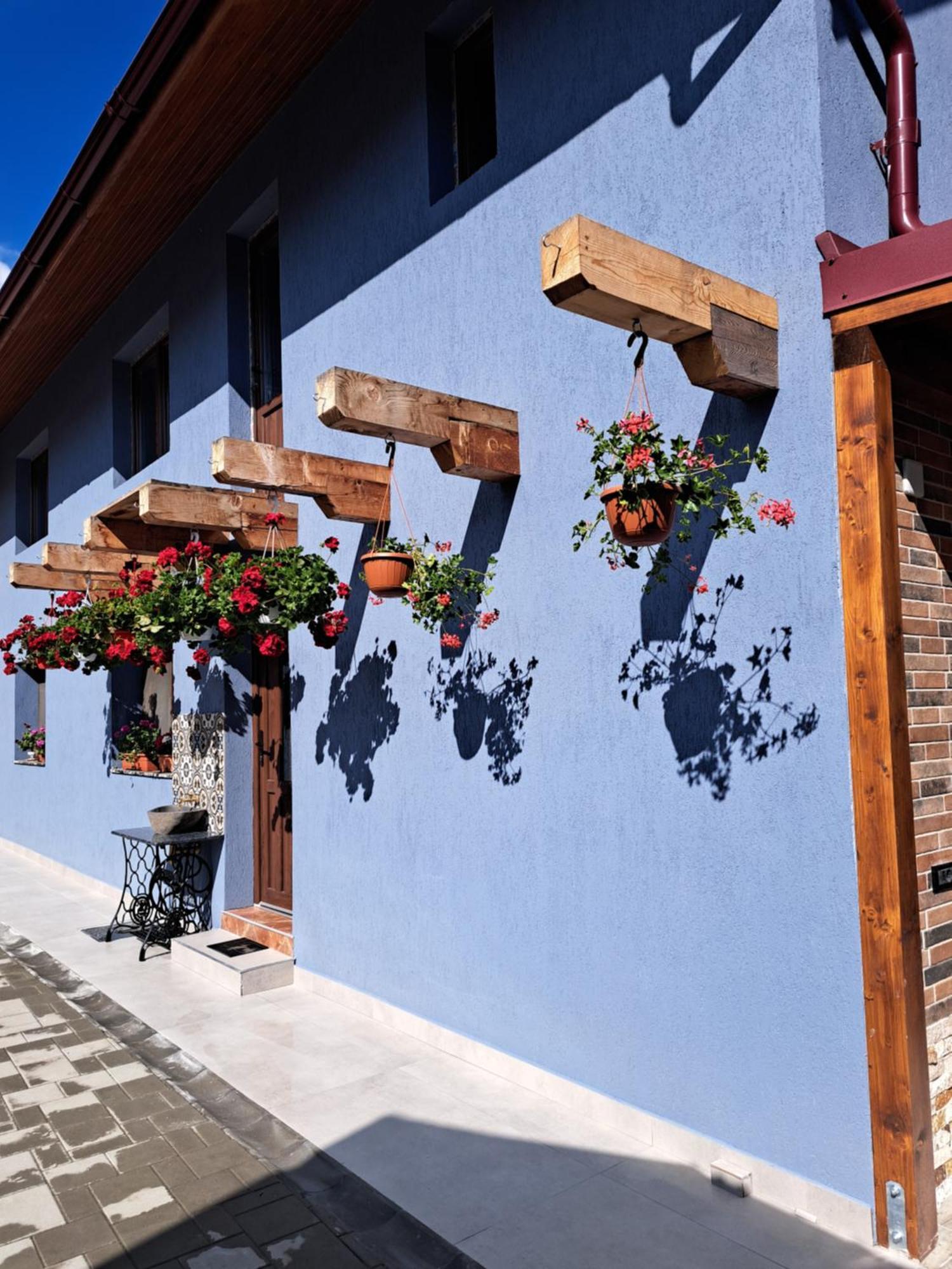 Casa Rustica Saceleana Săcele Exterior foto